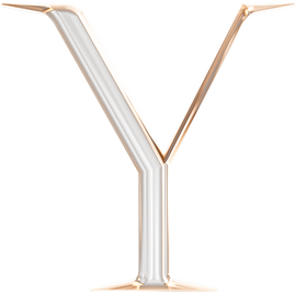 Ornate Uppercase Letter Y